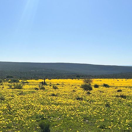 Simbavati Cederberg Ridge Villa Clanwilliam Ngoại thất bức ảnh