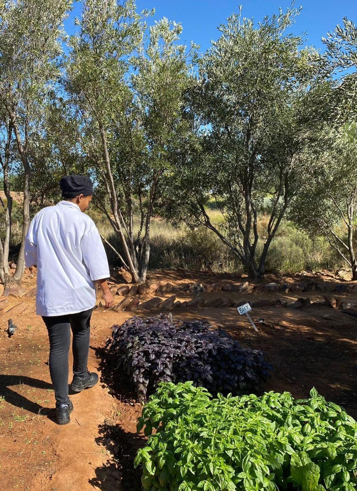 Simbavati Cederberg Ridge Villa Clanwilliam Ngoại thất bức ảnh