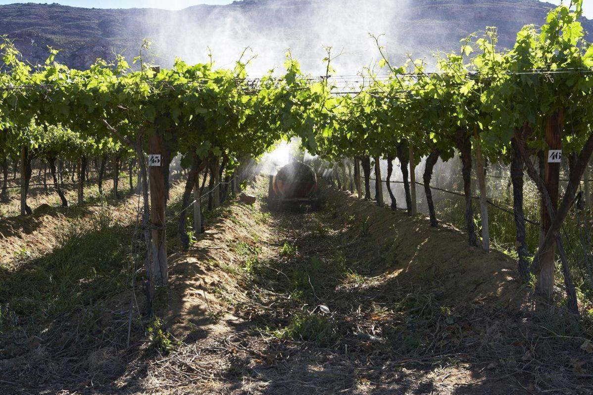 Simbavati Cederberg Ridge Villa Clanwilliam Ngoại thất bức ảnh