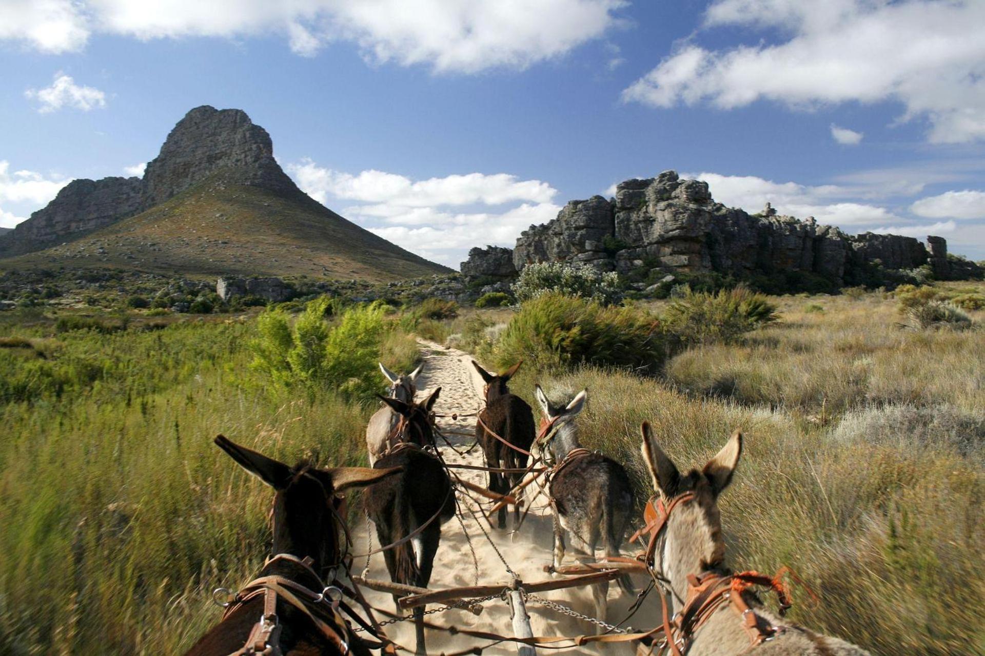Simbavati Cederberg Ridge Villa Clanwilliam Ngoại thất bức ảnh